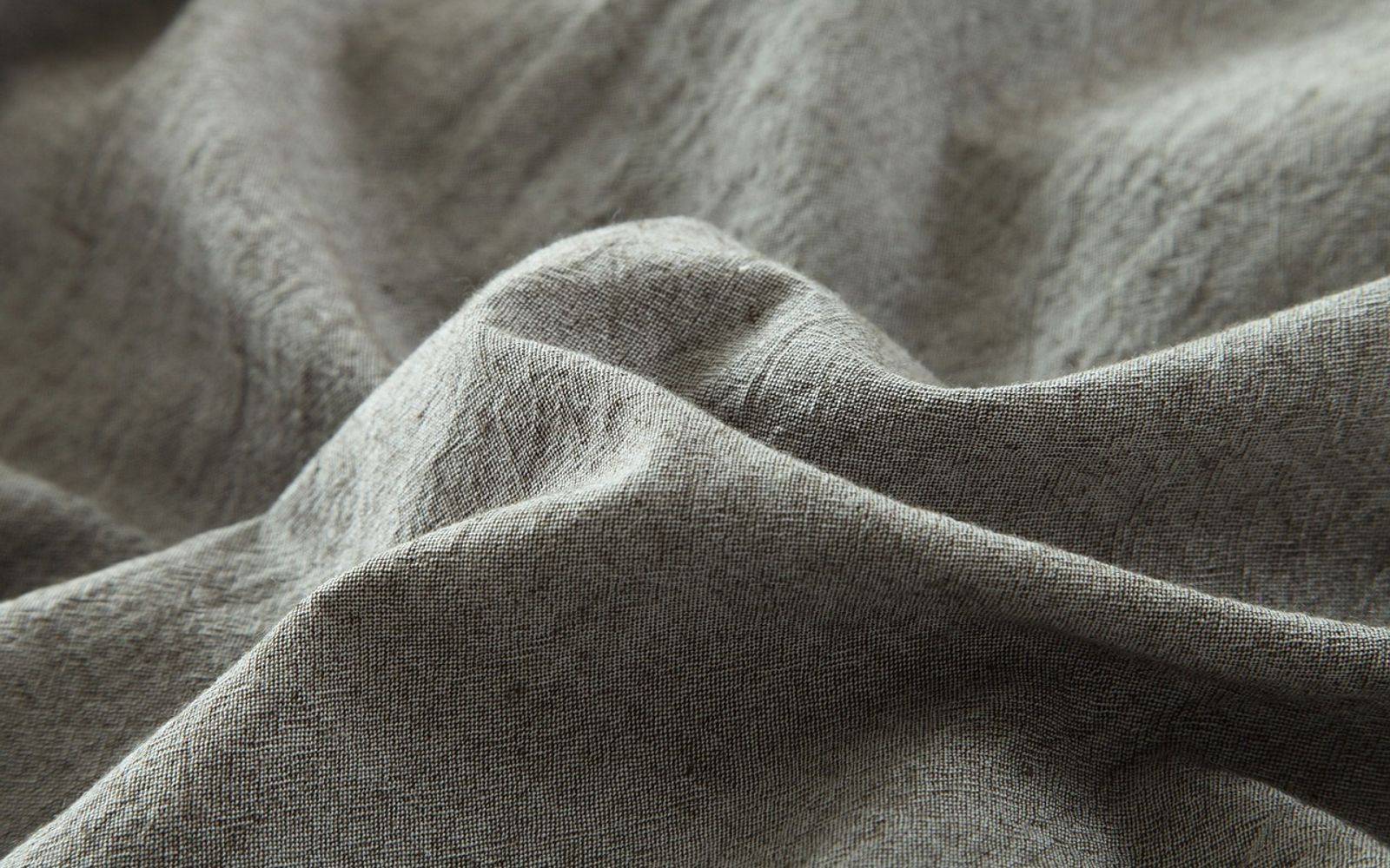 Soft daylight across a neutral treatment room wall